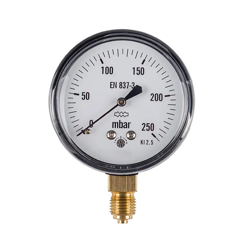 Pressure Gauge