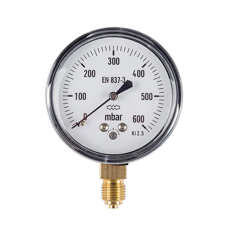 Pressure Gauge